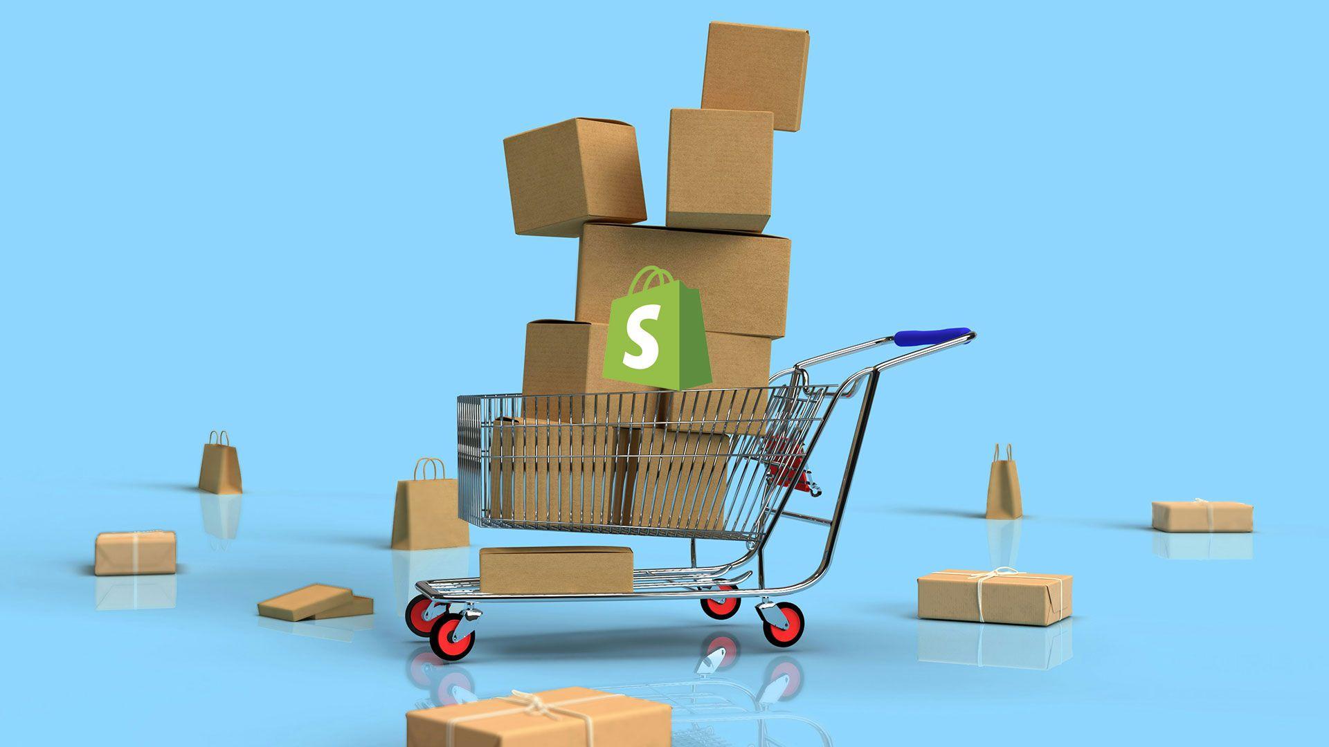 Independent Review of the Shopify Software Platform